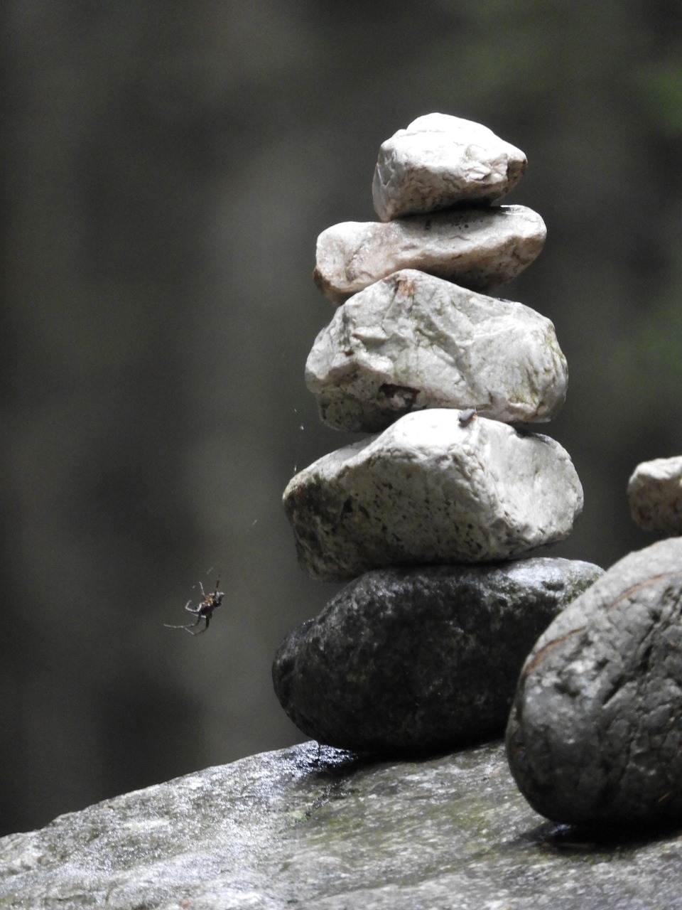 stone, spider, stack, balance, stability